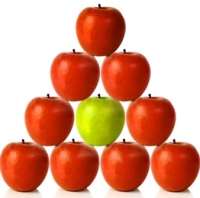 La Diferenciaci&oacute;n